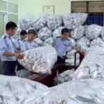 Thu hồi 40.000 gói rong biển HQ ở Bắc Ninh, bố mẹ cho con ăn đưa đi khám ngay còn kịp
